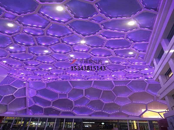 昆明ETFE膜結(jié)構(gòu)【生產(chǎn)銷(xiāo)售】