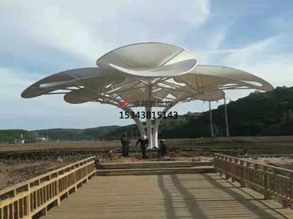 膜結(jié)構(gòu)供應(yīng)商哪家實(shí)力強(qiáng)？