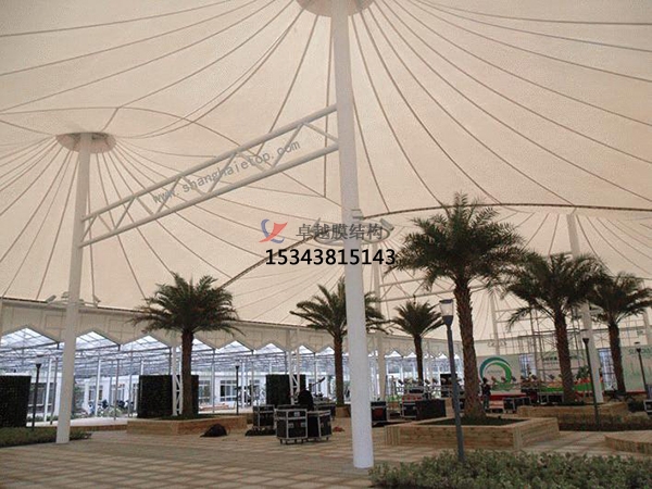 膜結(jié)構(gòu)預(yù)算單誰能做？