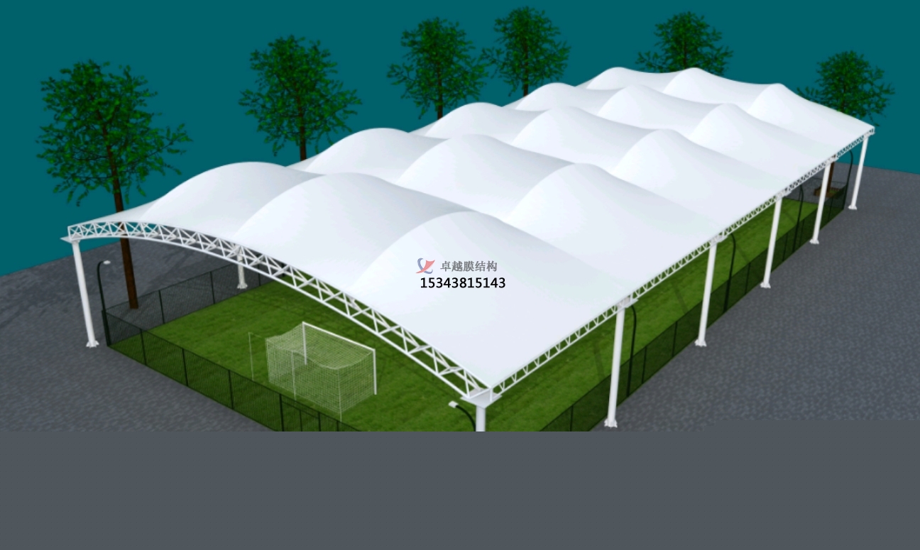 雞西<font color='red'>膜結構公司</font>【足球場膜結構】雞西膜結構廠家